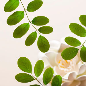 THE RITUAL OF NAMASTE gentle cleansing foam