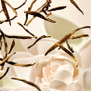 THE RITUAL OF KARMA shampoo &amp; body bar