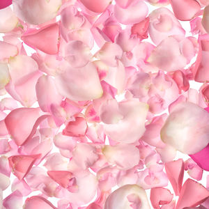 BRITISH ROSE shower scrub