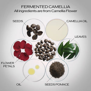 Sérum infusant Ultimune Power