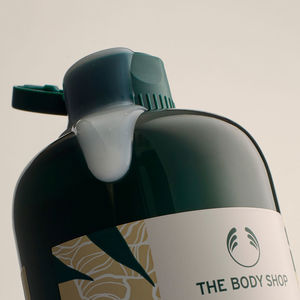 GINGER conditioner