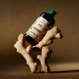 GINGER conditioner