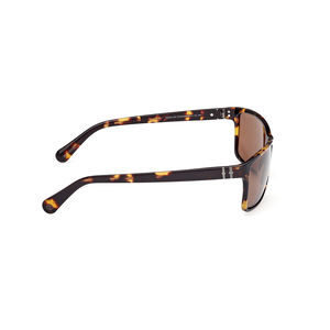 TB00032 POLARIZED