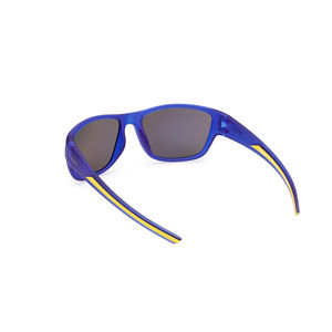 TB00023 POLARIZED