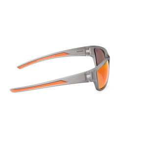TB00023 POLARISÉ