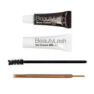 BEAUTYLASH PRO BROW COLOR eyebrow tint kit