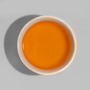 ARGAN OIL thermal protector