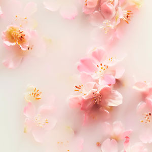 THE RITUAL OF SAKURA scented candle