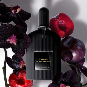 BLACK ORCHID
