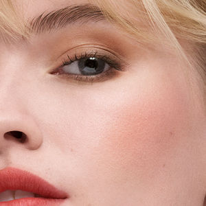 THE SCULPTING powder blush