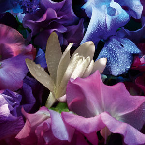 ABSOLUS ALLEGORIA FLORABLOOM ABSOLU