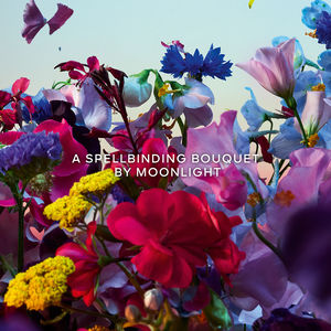 ABSOLUS ALLEGORIA FLORABLOOM ABSOLU