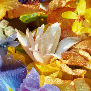 AQUA ALLEGORIA FLORABLOOM hand cream
