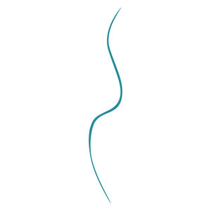 Eyeliner waterproof SLIM LINER