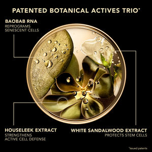 PREMIUM absolute serum