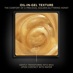 PREMIUM the absolute mask