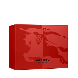 BURBERRY GODIN KOFFER