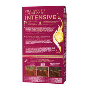 PALETTE INTENSIVE tinte