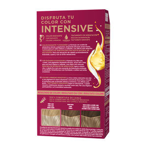 PALETTE INTENSIVE tinte