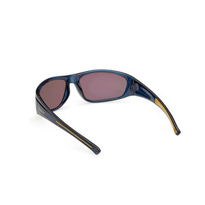 TB00033 POLARIZED