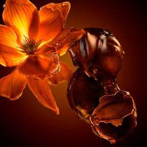 THE SCENT INTENSE