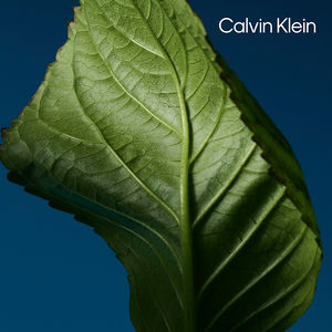 CK ONE NIGHT ESSENCE PARFUM INTENSE