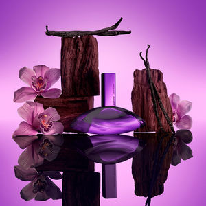 EUPHORIA BOLD ELIXIR