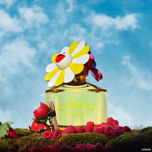 DAISY MURAKAMI YELLOW