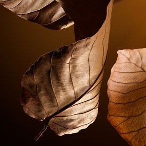 THE ONE POUR HOMME PARFUM