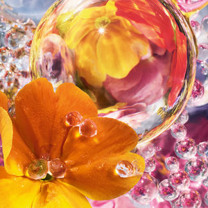 AQUA ALLEGORIA PERLE FLORABLOOM