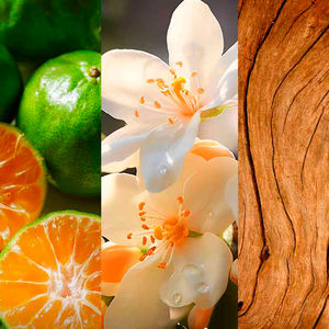 CHANSON D’EAU NEROLI