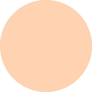 Fard à paupières ART COULEURS