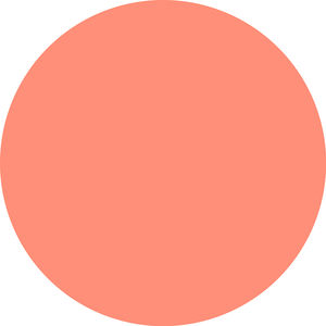 SOFT BLUR powder blush