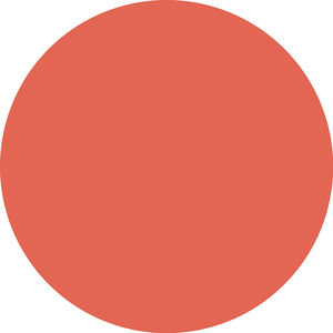 SOFT BLUR powder blush
