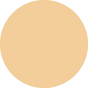 CC SKIN PERFECTOR corrective cream