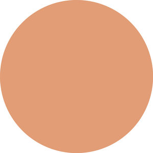 SKIN LIKE tinted moisturizer