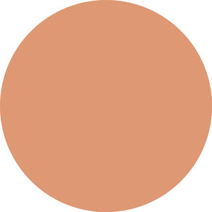 SKIN LIKE tinted moisturizer