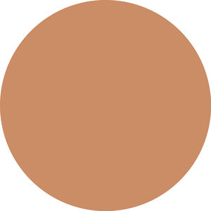 SKIN LIKE tinted moisturizer