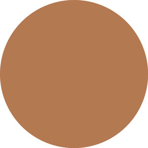 SKIN LIKE tinted moisturizer