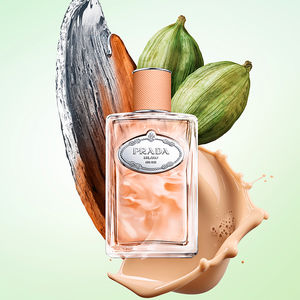 INFUSION DE SANTAL CHAI