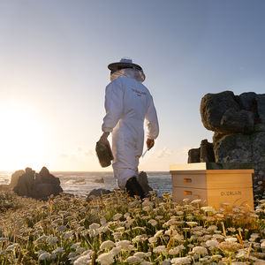 ABEILLE ROYALE AQUEOUS TREATMENT OIL CASE