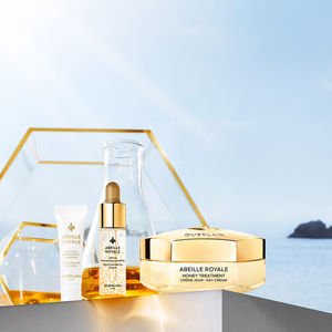 ABEILLE ROYALE TREATMENT DAY CREAM SET