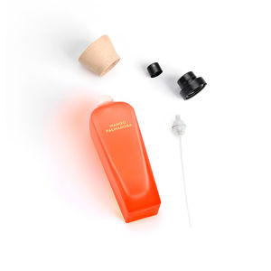 AGUAFRESCA MANGO PALMAROSA