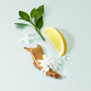 ACQUA DI GIOIA CASE