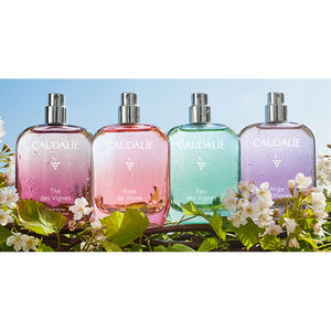 EAU DES VIGNES acqua dolce