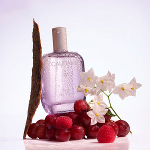ANGE DES VIGNES