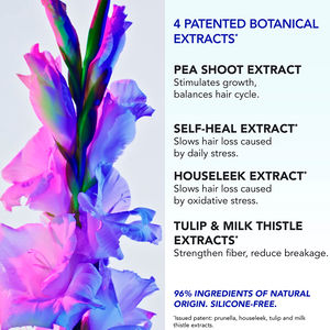 PHYTOPHANERE ANTICAÍDA REACCIONAL ampollas