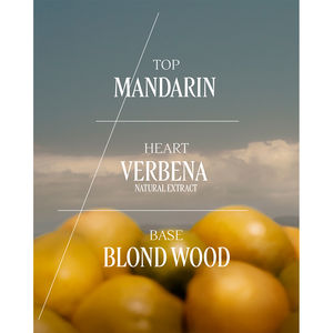 VERVEINE AGRUMES hand cream