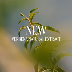 Crème pour les mains VERVEINE