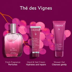 AFFAIRE THÉ DES VIGNES